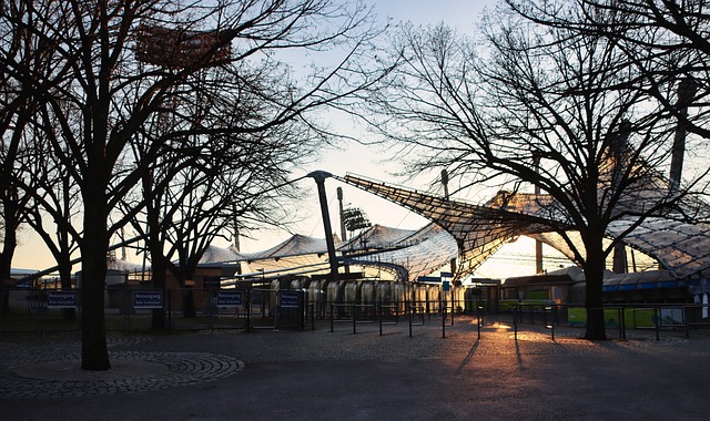 结果具有举 结果具有举