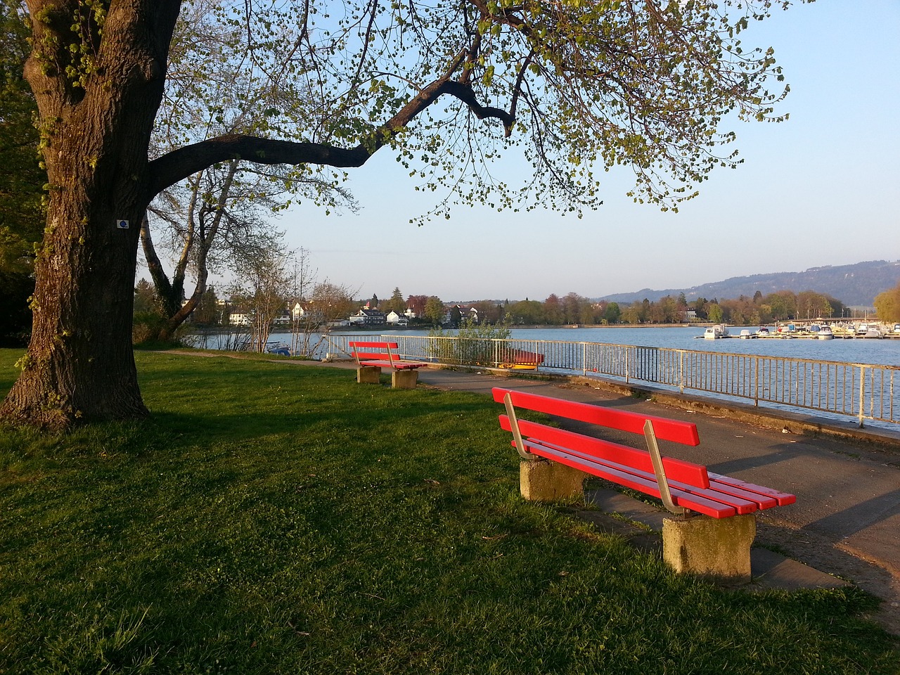 维多利亚游泳赛表现出色 安德森：选手重拾竞争心态.